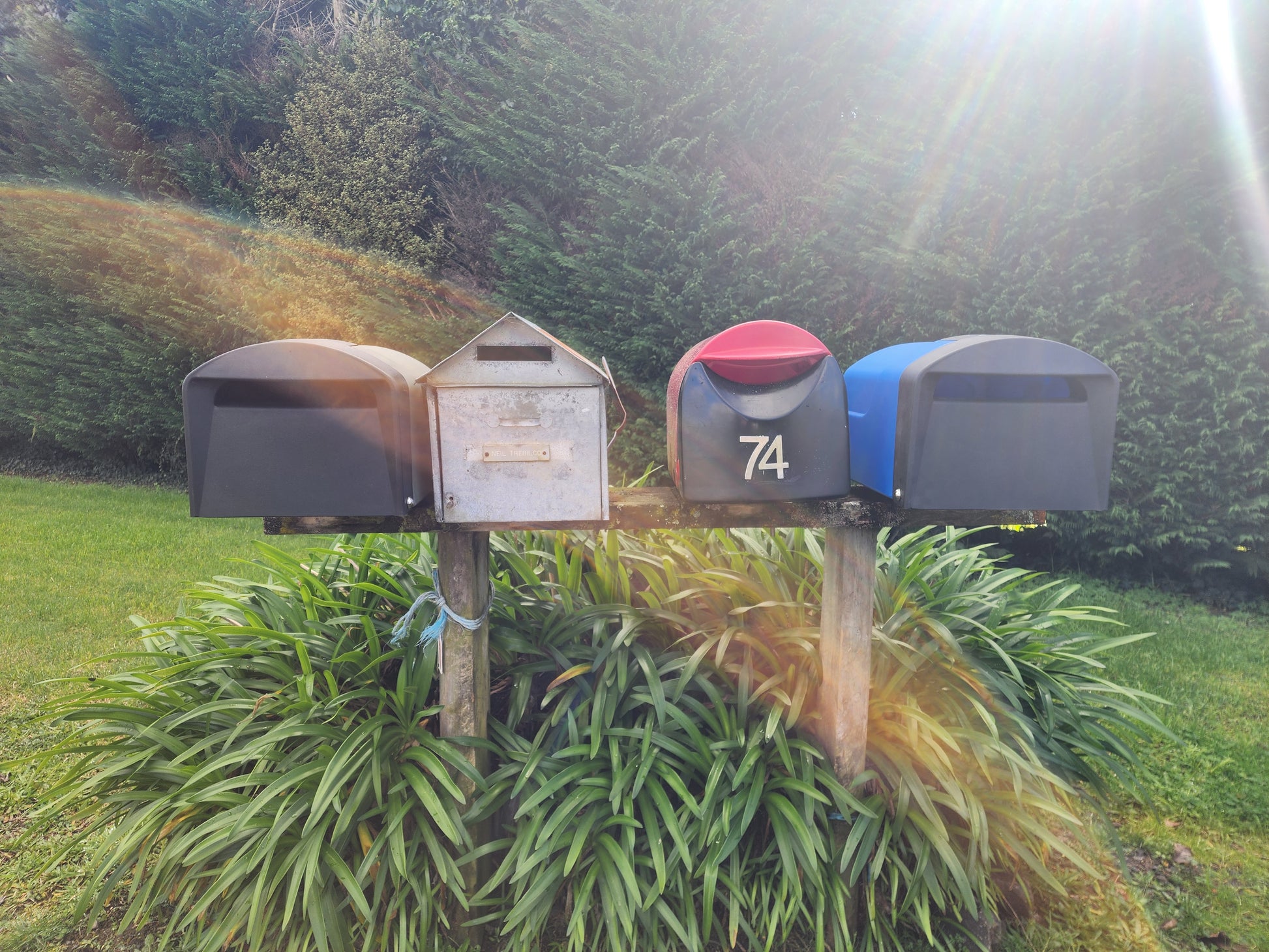4 mailboxes side by side showing size difference in rural setting