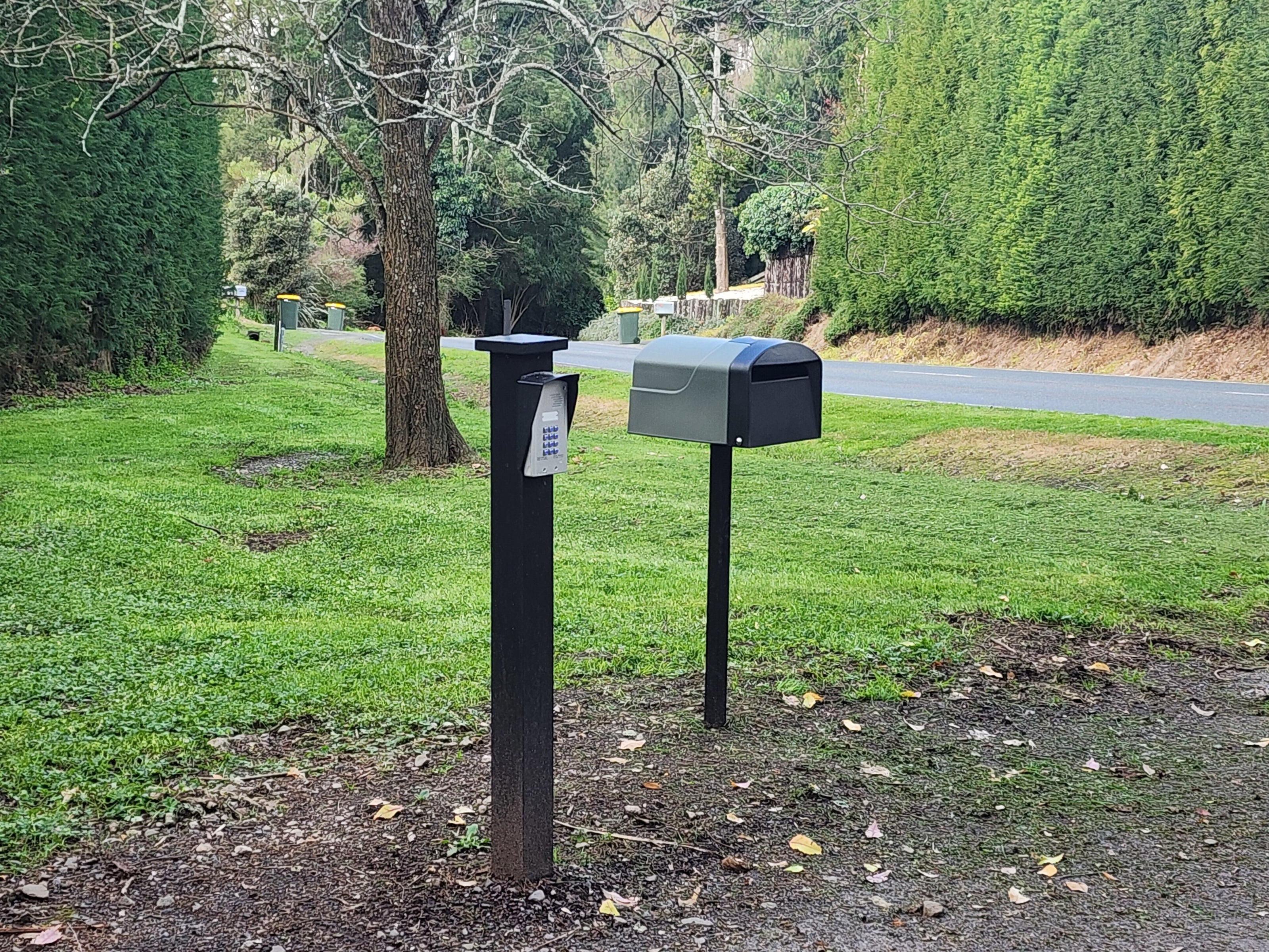 a Mailnox on a grassy area with trees and a road in the background