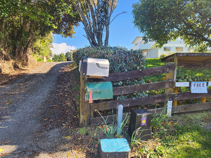 Rural maill theft prevention